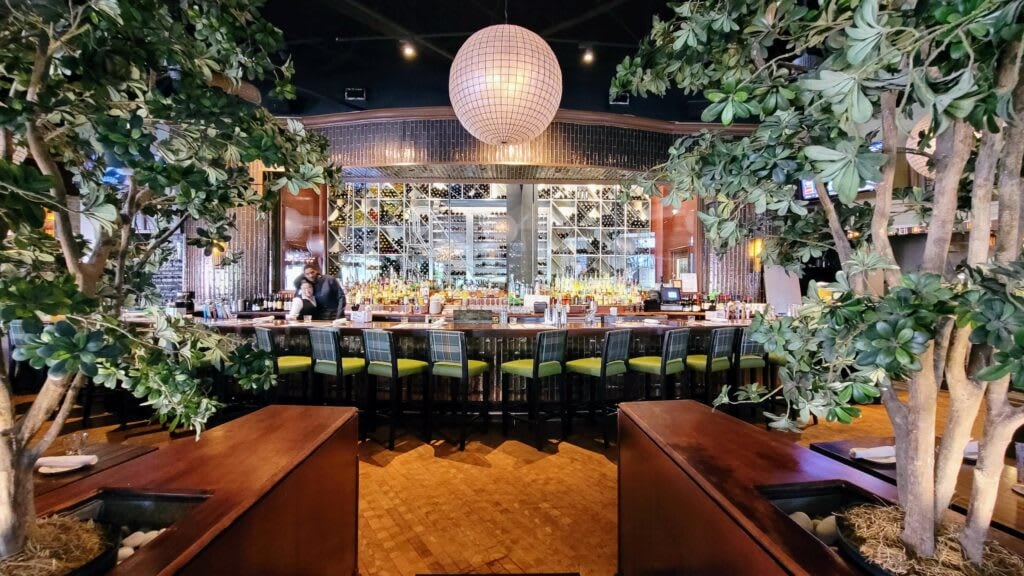 City Cellar Wine Bar & Grill